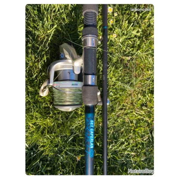 3 Cannes avec moulinets et les housses de transport