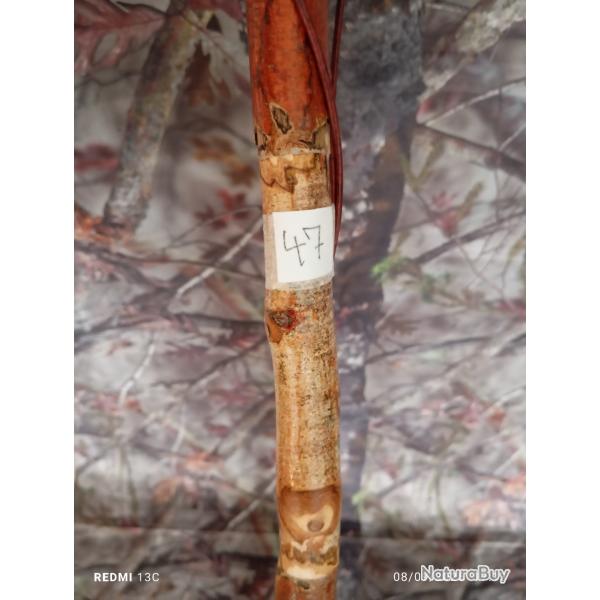 canne de pirsch (47)