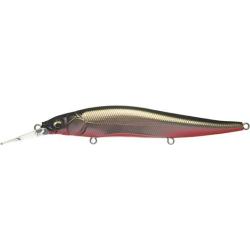 VISION 110 +1 SW - M KATAKUSHI RB