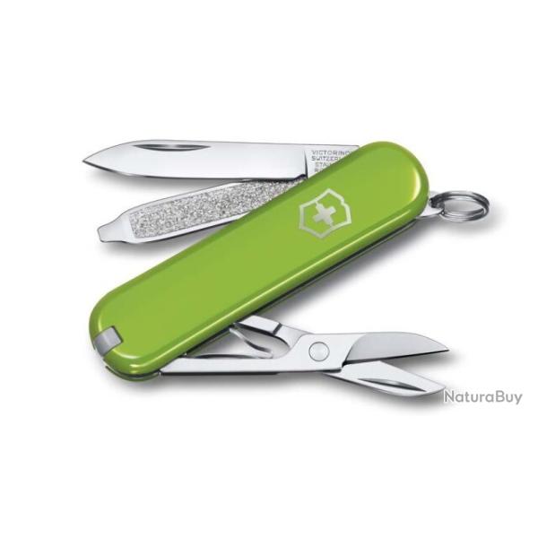 0.6223.43G Couteau suisse Victorinox Classic SD manche 58 mm Smashed Avocado