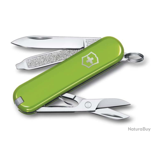 Victorinox Classic SD 0.6223.43.B1 - Smashed Avocado