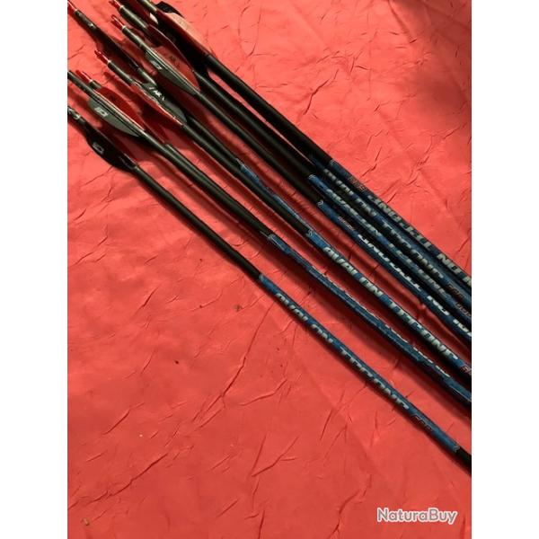 Fl�ches Avalon Techone