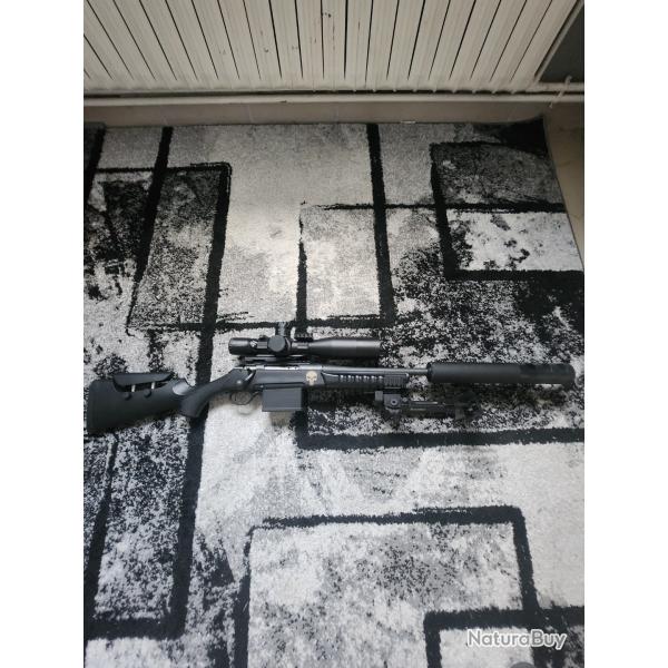 Carabine 308 tld ou aff�t