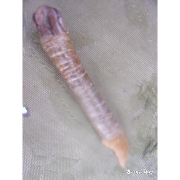 reproduction  grattoir  n�olithique 17 cm