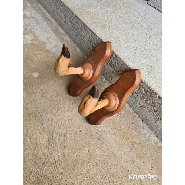 Rtelier pour 1 fusil ou 2 portes manteaux , pattes de chevreuil.