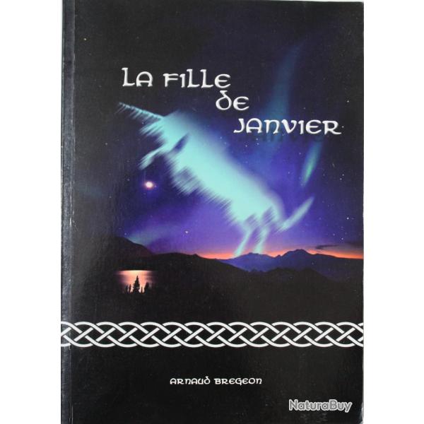 Roman La fille de Janvier d'Arnaud Bregeon