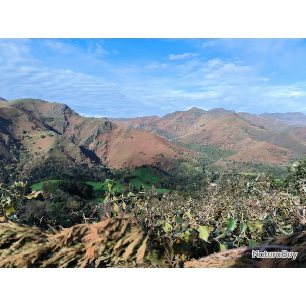SEJOUR CHASSE  PALOMBE AU PAYS BASQUE