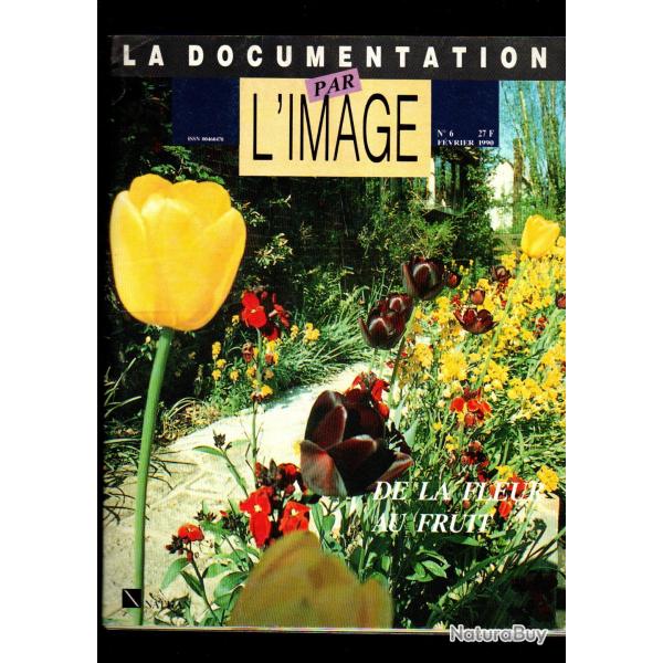 la documentation par l'image 6 de 1990, de la fleur au fruit
