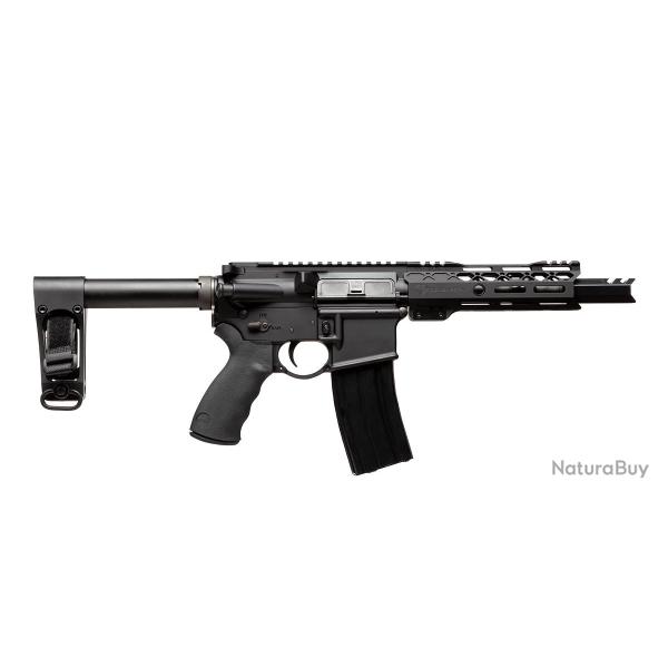 Carabine AR15 Double Star ARP7 .300 Blackout