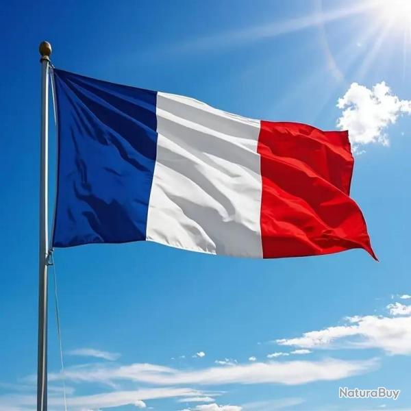 10 Grands Drapeaux Francais 150/90cm-1 20260729082524