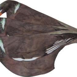 Lot de 10 chaussettes &agrave; pigeon pour appelant