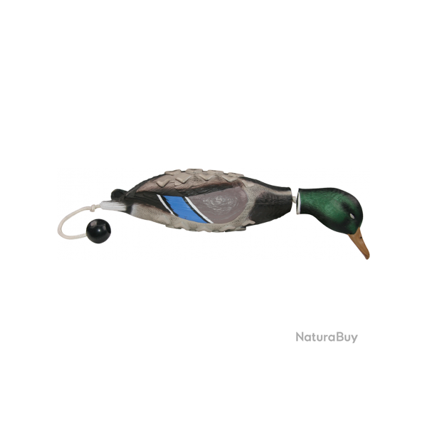 Apportable forme de colvert pour dressage chien