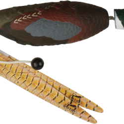 Apportable forme de faisan dressage chien