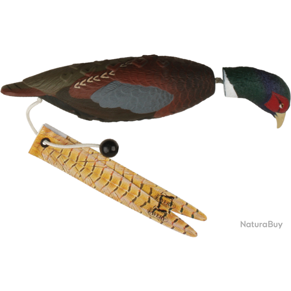 Apportable forme de faisan dressage chien