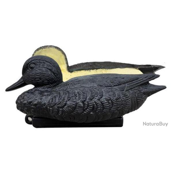 Appelant sarcelle mouss�e noire