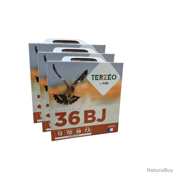 300 CARTOUCHES TERZEO 12/70 36G BJ ( 3 PACKS DE 100 MUNITIONS) desto-mun