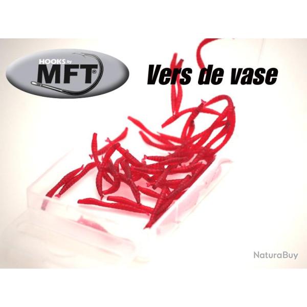 MFT � - Vers de vase