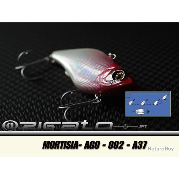 MORTISIA-AGO-002 A37