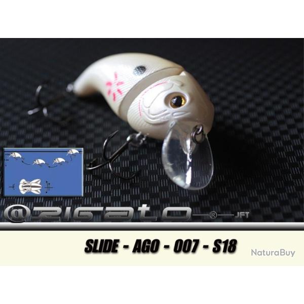 SLIDE-AGO-007 S18