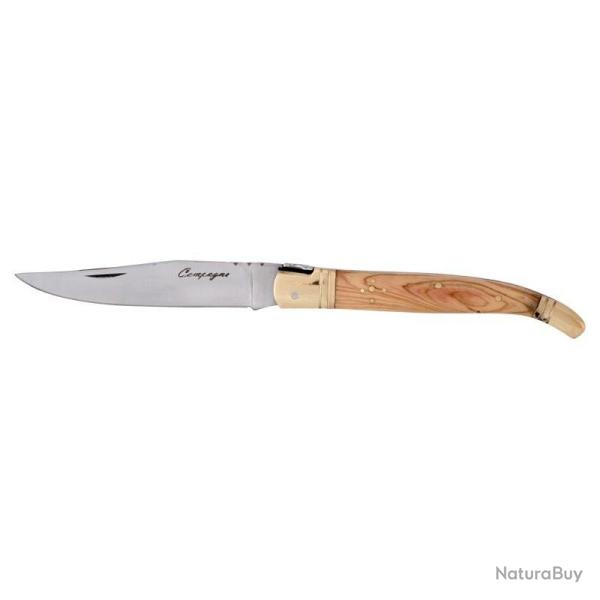 COUTEAU CAMPAGNE OLIVIER