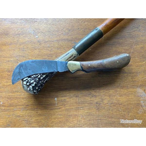 SERPETTE LAME DAMAS  ACACIA  (2025   N