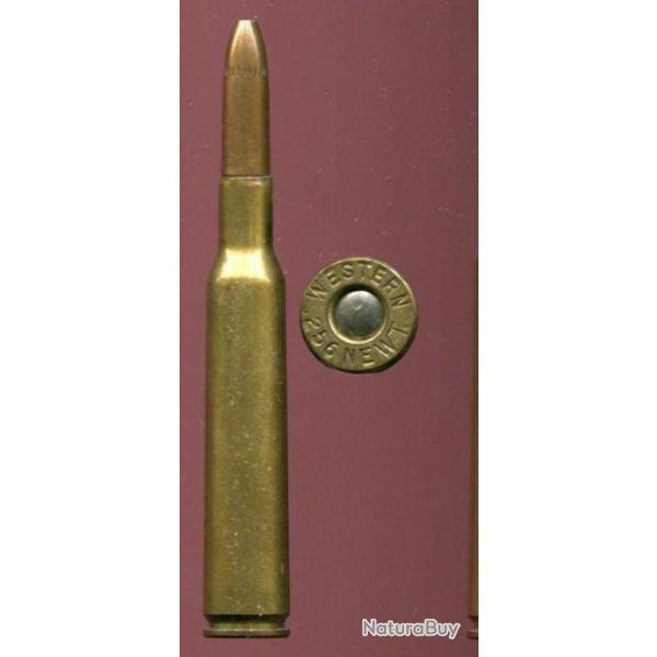 .256 NEWTON - marquage :  WESTERN 256 NEWT -  balle cuivre pointe creuse - calibre US  peu courant