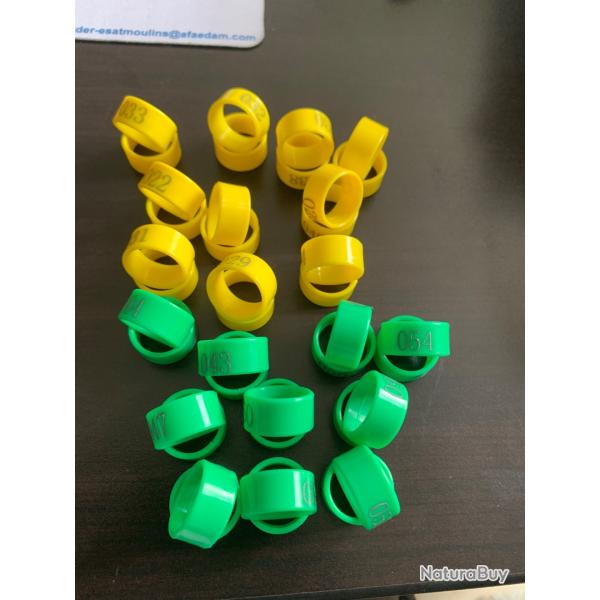 40 Anneaux numrots jaunes et verts pour poules coq canard...