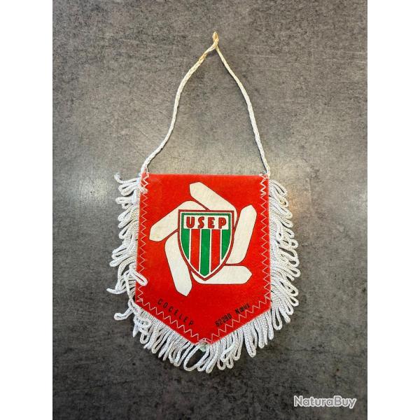 Fanion ancien USEP