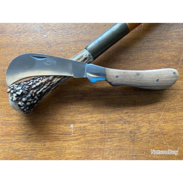 SERPETTE LE NICLO  ACACIA   (2025 6