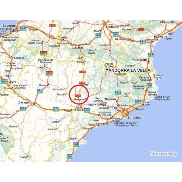 PERDREAUX AU CHIEN D�ARR�T / CATALOGNE-NORD.