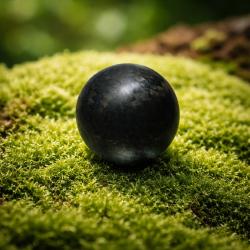 boule blaser et maral v&eacute;ritable Carbone 30mm mat