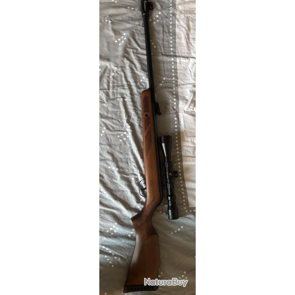 4,5 mm gamo avec lunette gamo