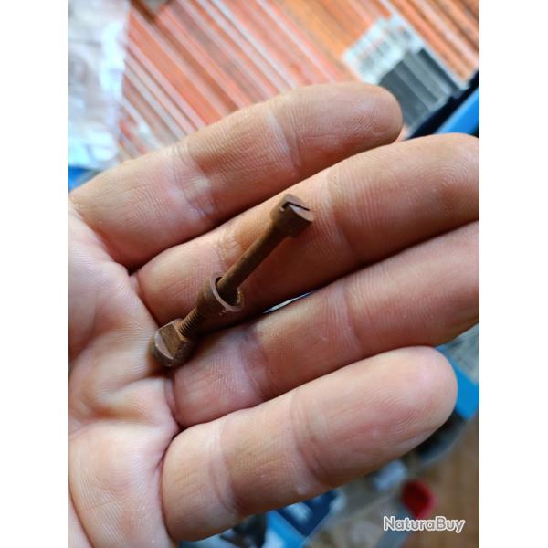 Vis de crosse avec insert