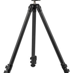 Trpied Audre Shadow
