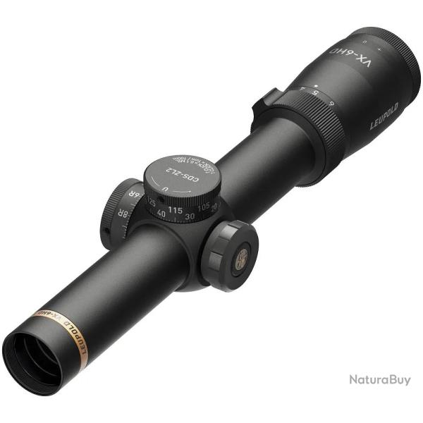 Lunette de tir Leupold VX-6HD 1-6x24 CDS-ZL2 Ret. Firedot 4