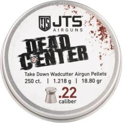Plombs JTS Dead Center pr&eacute;cision 5.5 mm 18.80 grains
