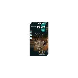 Balles Sauvestre BFS Plomb 12/67 22,5g