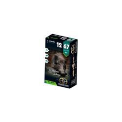 Balles Sauvestre BFS Sans Plomb 12/67 20,6g