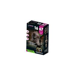 Balles Sauvestre BFS Sans Plomb 16/67 20,6g