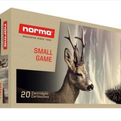 Balles Norma V-Max 17 Rem. 20gr