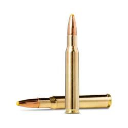 Balles Norma Plastic Point 9,3 x 62 285gr