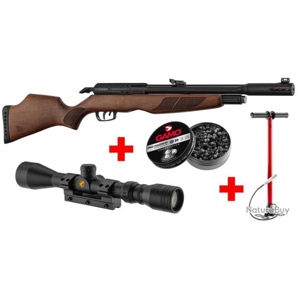 Pack Gamo Riser Punisher Cal. 5,5 mm 40 J + Lunette 3-9 x 40 WR + Pompe Flex PCP Arrow + Plombs Pro 