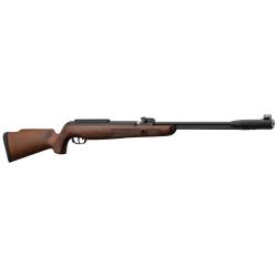 Carabine Gamo CFX ROYAL &agrave; canon fix&eacute; - 19,9J