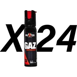 Pack bombes de d&eacute;fense gaz CS 25 ml x24