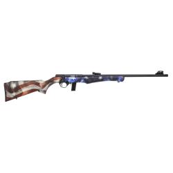 Carabine 22 LR Rossi 8122 USA
