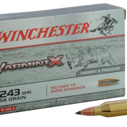 Balles de chasse Winchester Varmint-X 95 gr