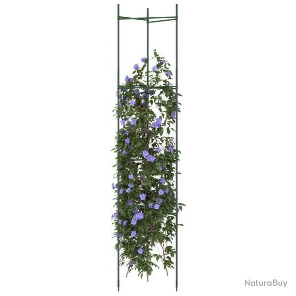 Cage � tomates 2 pcs 154 cm acier et PP