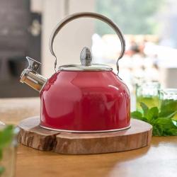 Bouilloire &agrave; sifflet 2,5L induction tous feux &eacute;paisseur 0,35mm