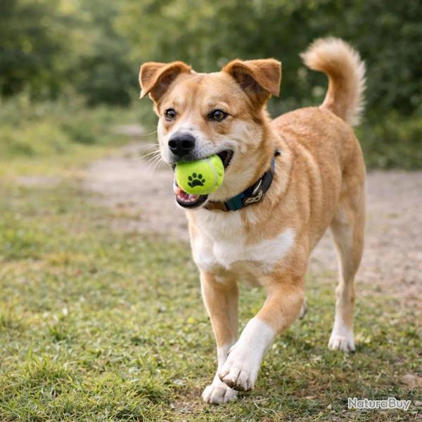 3 balles tennis � 6,25 cm en filet