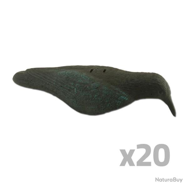 Lot de 20 Appelants Corbeau coquille